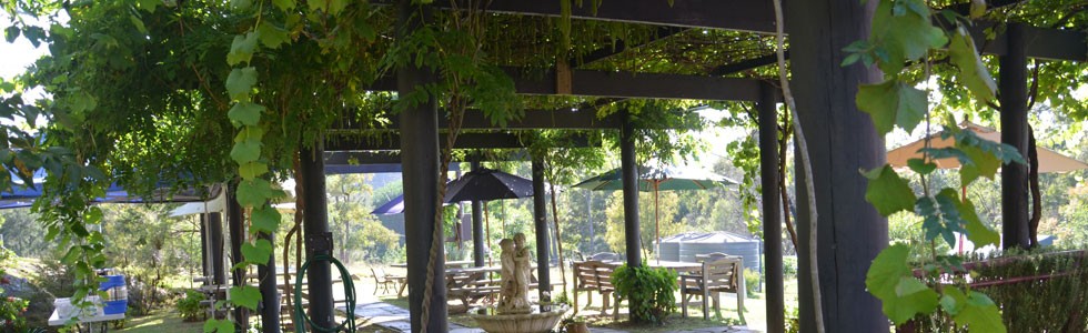 Wollombi Wines, Hunter Valley
